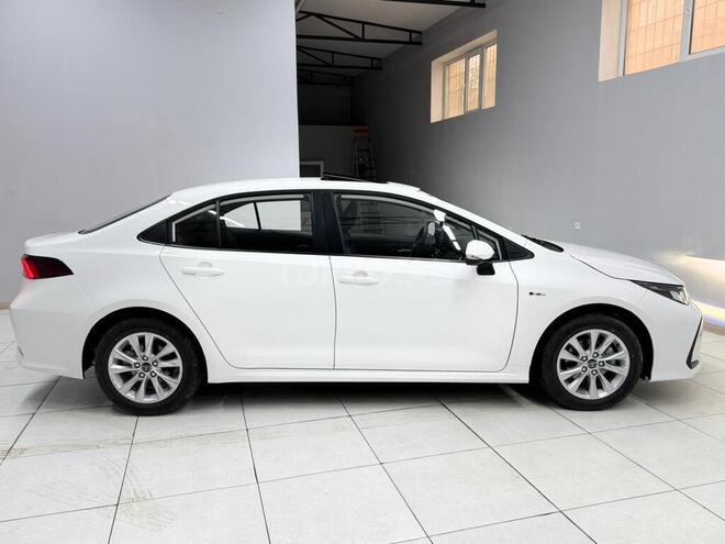 Toyota Corolla-9