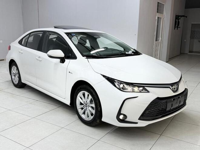 Toyota Corolla-6
