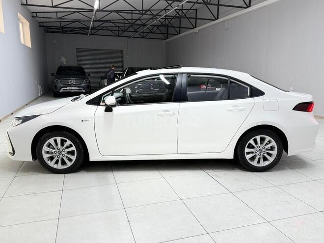 Toyota Corolla-4