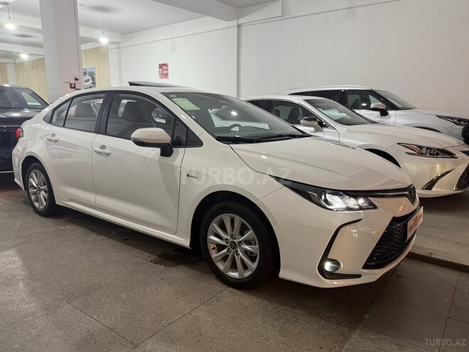 Toyota Corolla-2