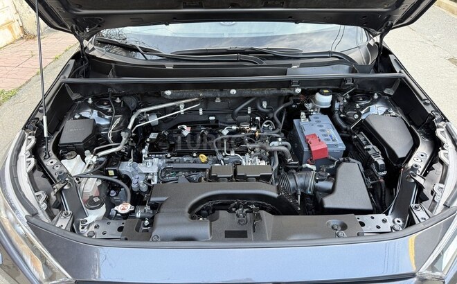 Toyota RAV4 2019, 124,000 km - 2.0 l - Bakı