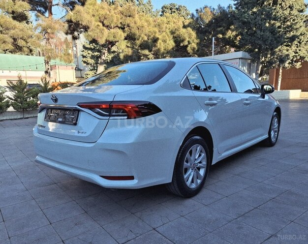 Toyota Corolla-8