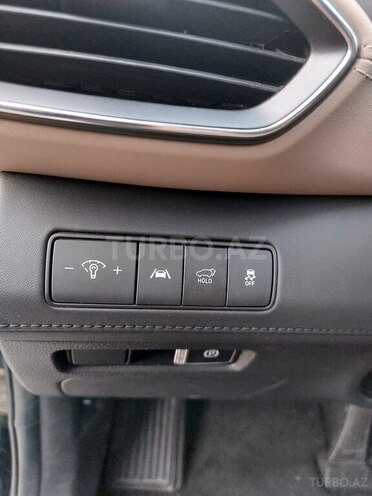 Hyundai Santa Fe-17