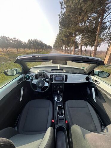 Volkswagen Beetle-3