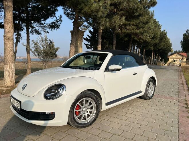 Volkswagen Beetle-11