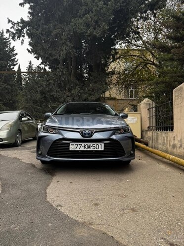 Toyota Corolla 2023, 56,900 km - 1.8 л - Bakı
