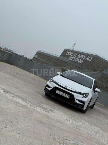 Toyota Corolla-4
