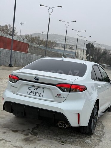 Toyota Corolla-6