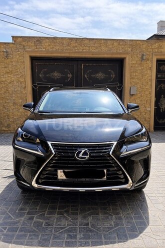 Lexus NX 300-1