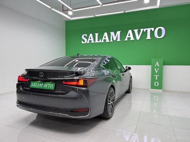 Lexus ES 300h-6