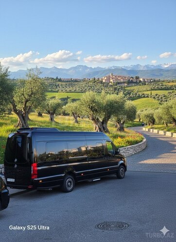 Mercedes Sprinter 316-2