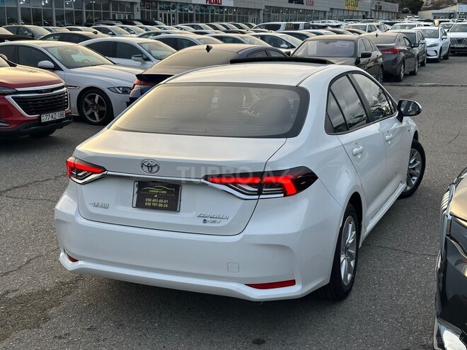 Toyota Corolla-8