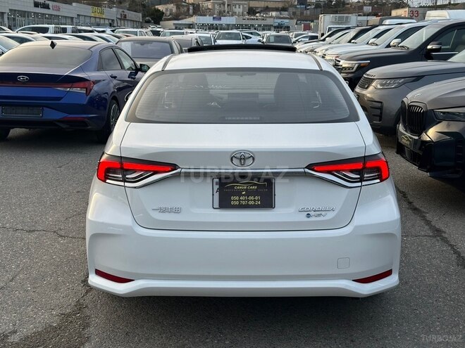 Toyota Corolla-9