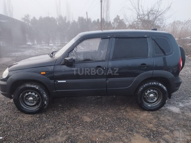 Chevrolet Niva 2010, 333,300 km - 1.7 l - Biləsuvar