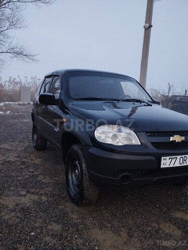 Chevrolet Niva 2010, 333,300 km - 1.7 l - Biləsuvar