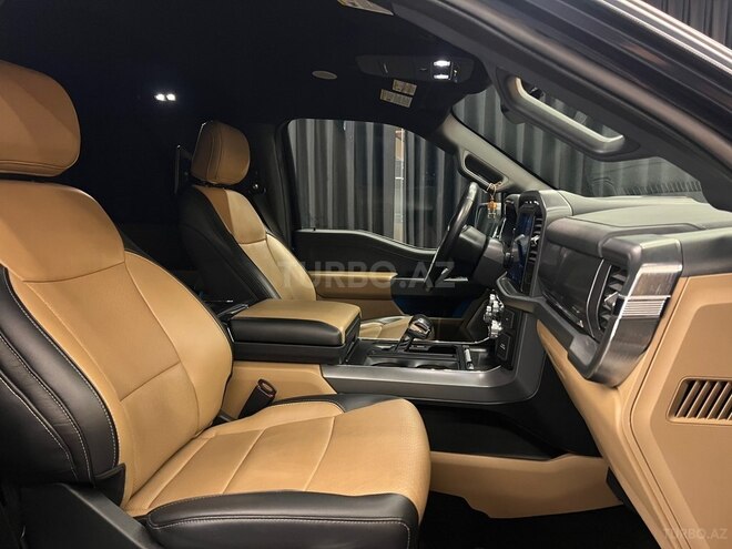 Ford F-150-12