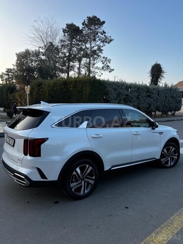 Kia Sorento 2023, 73,000 km - 1.6 l - Mingəçevir