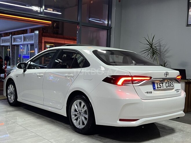 Toyota Corolla-7