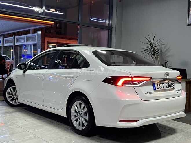 Toyota Corolla-9