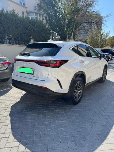 Lexus NX 350h-2