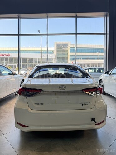 Toyota Corolla-2