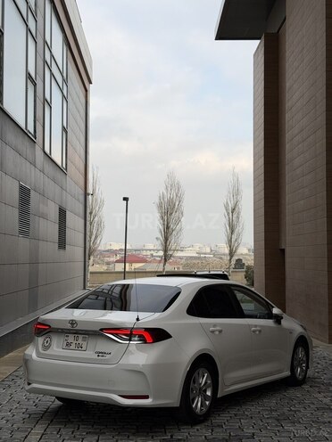 Toyota Corolla-5