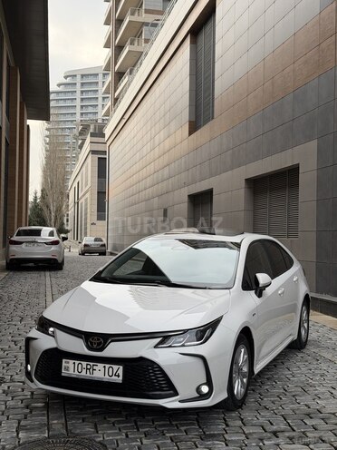 Toyota Corolla-15