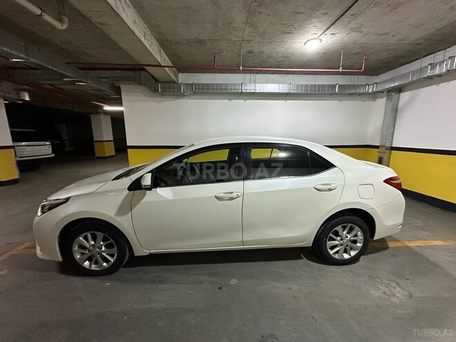 Toyota Corolla-4