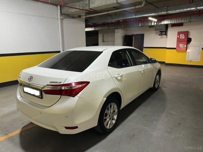 Toyota Corolla-6