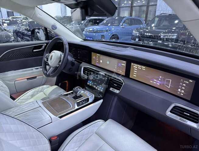 Hongqi E-HS9-10