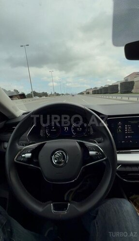 Skoda Octavia 2023, 40,000 km - 1.5 л - Bakı
