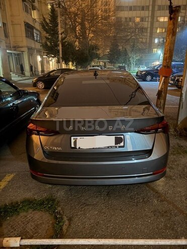 Skoda Octavia 2023, 40,000 km - 1.5 л - Bakı