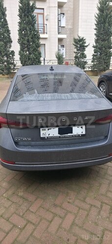 Skoda Octavia 2023, 40,000 km - 1.5 л - Bakı