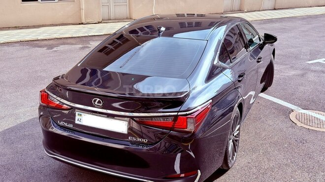 Lexus ES 300h-7