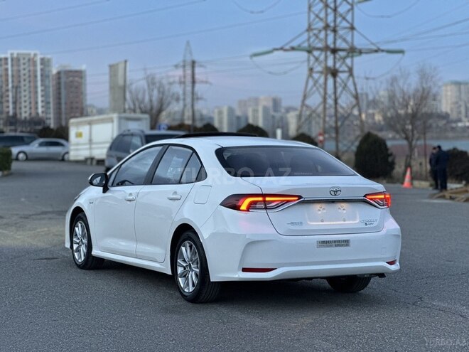Toyota Corolla-7