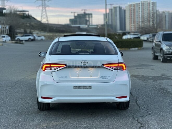 Toyota Corolla-6