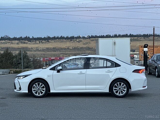 Toyota Corolla-3