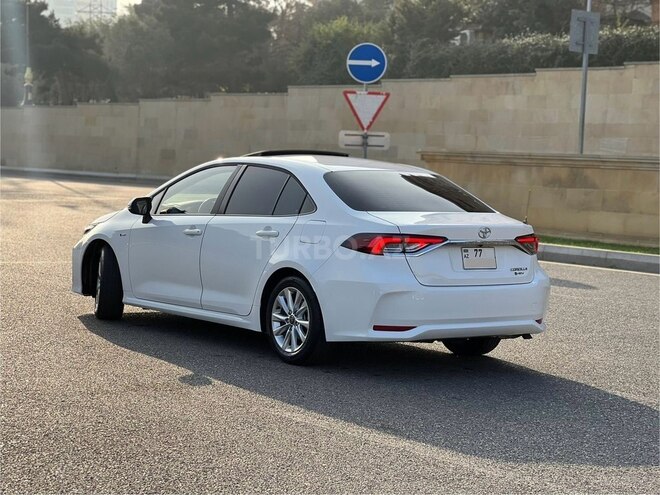 Toyota Corolla-2