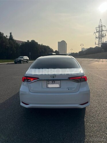 Toyota Corolla-6