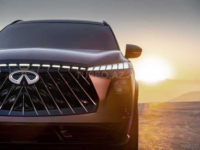 Infiniti QX65-12