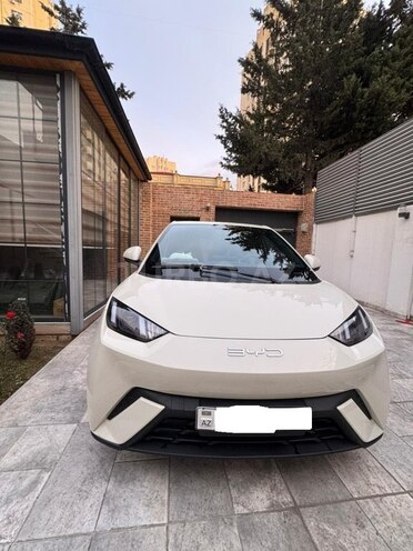 BYD Seagull-1