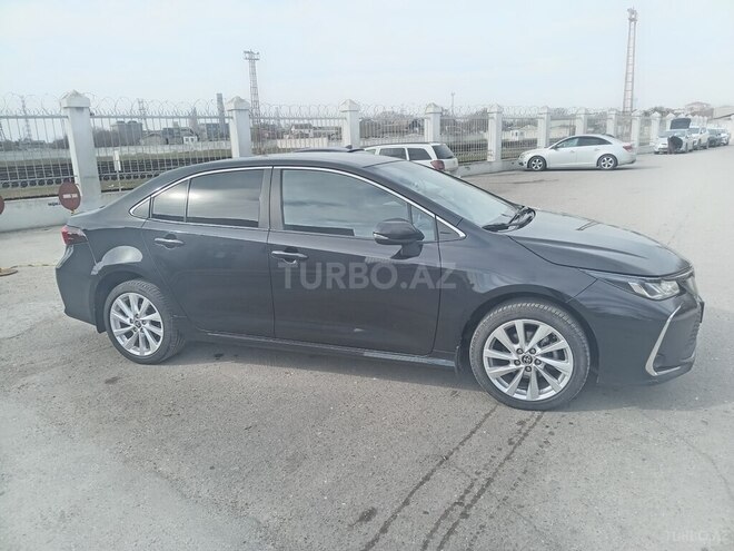 Toyota Corolla-6