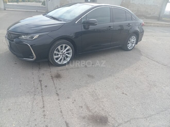 Toyota Corolla-7