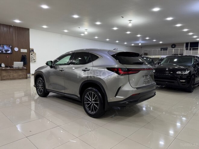 Lexus NX 350h-11