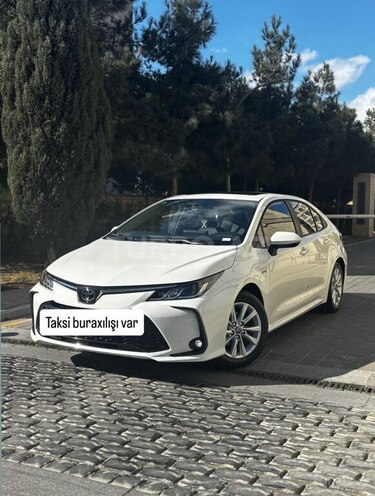 Toyota Corolla-1