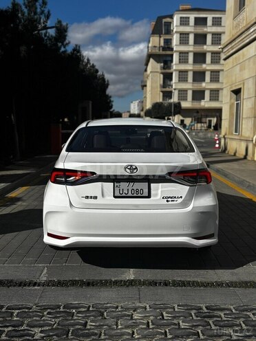Toyota Corolla-7