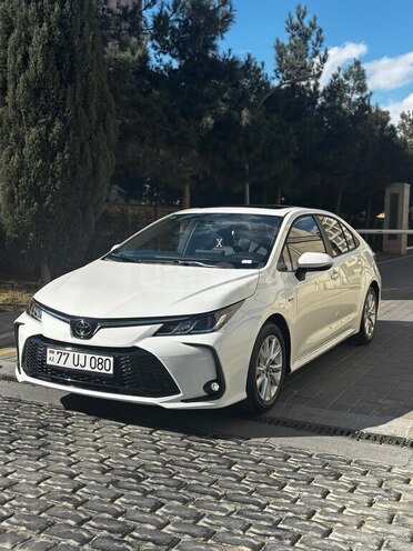 Toyota Corolla-6