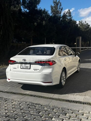 Toyota Corolla-9