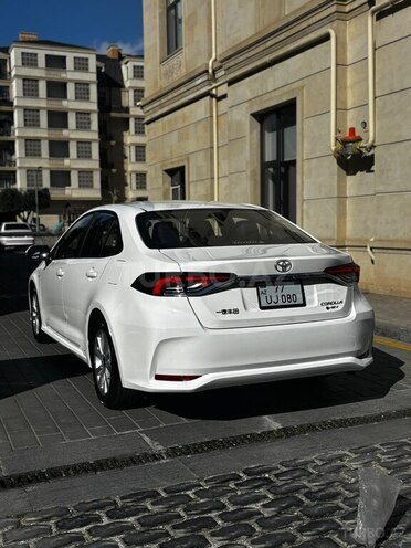 Toyota Corolla-8
