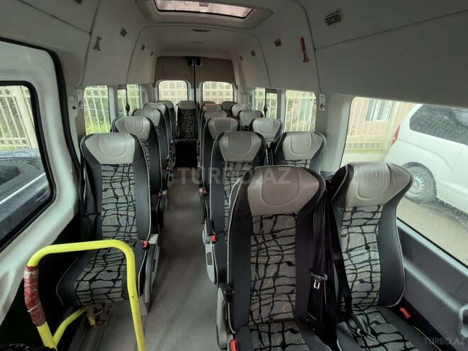 Ford Transit-7